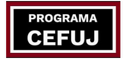 Programa CEFUJ